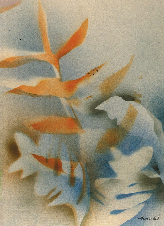 Riki Riki II — La Línea y la Forma