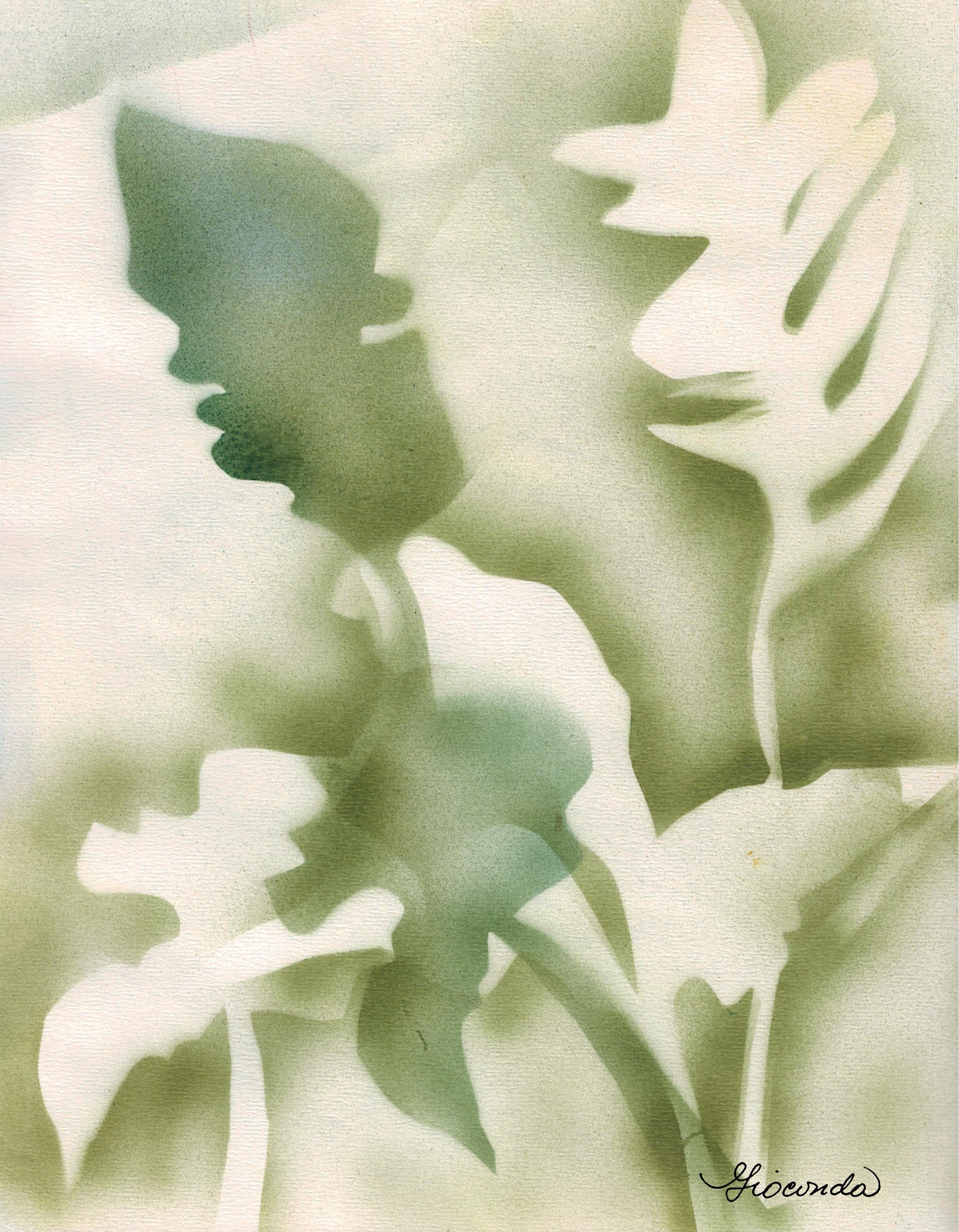 Silencio Verde